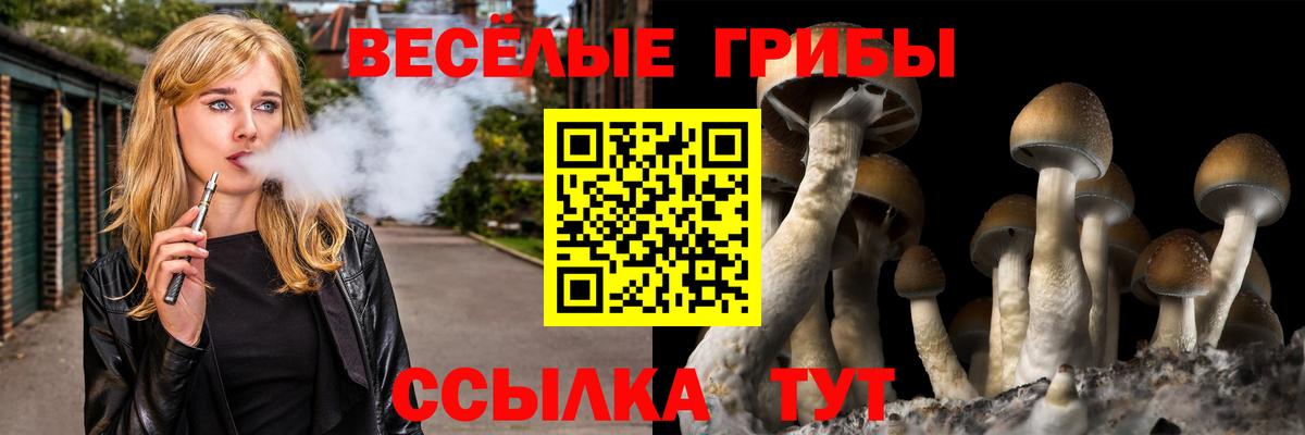 Псилоцибиновые грибы мицелий  Тайшет 